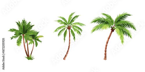 Set of palm trees realistic vector illustrations on white background.icon
