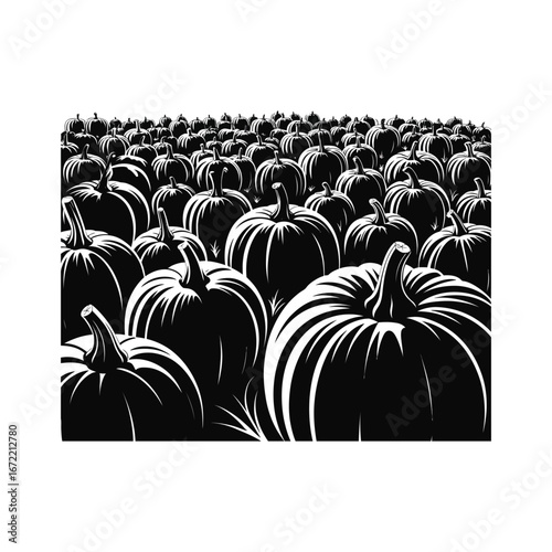 Pumpkin Patch Silhouette Illustration A Vast Field of Autumn Harvest Bounty Graphic Design