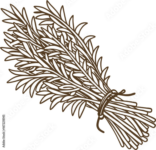 Aromatic bundle of fresh rosemary herb tied with twine culinary seasoning, spice ingredient for cooking recipes