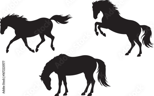 Mustang Horse Silhouette Vector Set"

"Wild Mustang Horse Silhouette Illustration"

"Running Mustang Horse Silhouette Graphic"