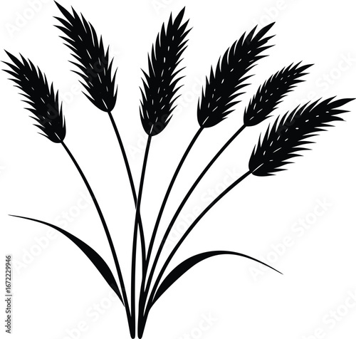 Foxtail Grass Silhouette, Wild Grass Vector