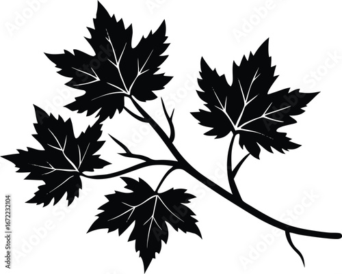 Maple Branch Silhouette, Maple Leaf Vector