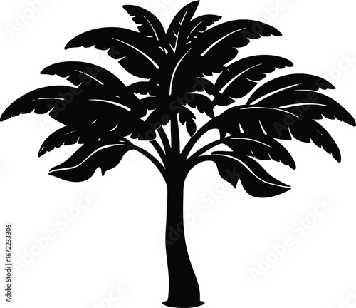 Plantain Tree Silhouette, Tropical Plantain Vector