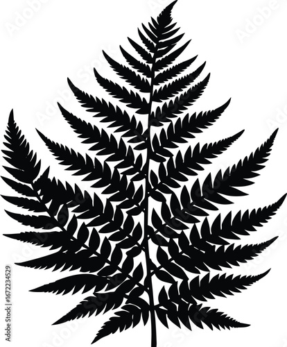 Tropical Fern Silhouette, Exotic Fern Vector