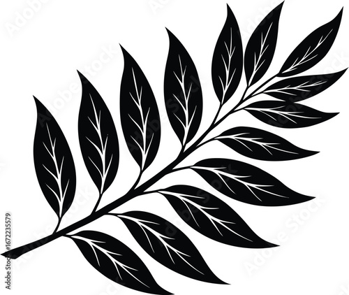 Willow Leaf Silhouette, Willow Tree Vector