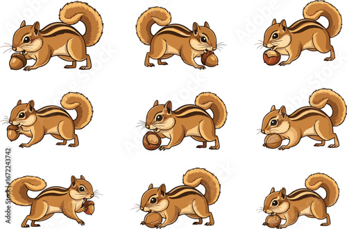 Cute squirrel collection with nuts, cartoon chipmunk vector set, woodland animal drawing, forest wildlife design, funny squirrel eating acorn artwork