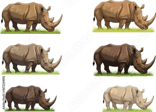 Grazing rhinoceros illustration set, African wild animal drawing, cartoon style rhino vector, endangered species artwork, wildlife mascot, realistic rhino grazing