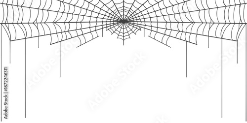 Spider web, cob web Halloween frame, dividers. vector eps