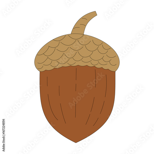 acorn. oak tree. nature theme. autumn. vector illustration