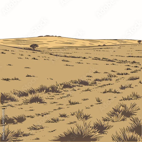 Vector art of a vast, open field with rolling hills and sparse vegetation, capturing the essence of a rural landscape in a vintage illustration style