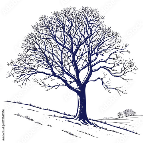 Vector art of bare tree silhouette on a hill, a winter landscape drawing with branches and roots, a nature illustration in vector format