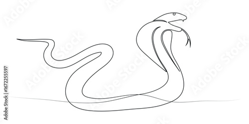 Snake continuous one line drawing. Hand drawn vector art, Continuous one line art drawing of king cobra snake outline art vector illustration,