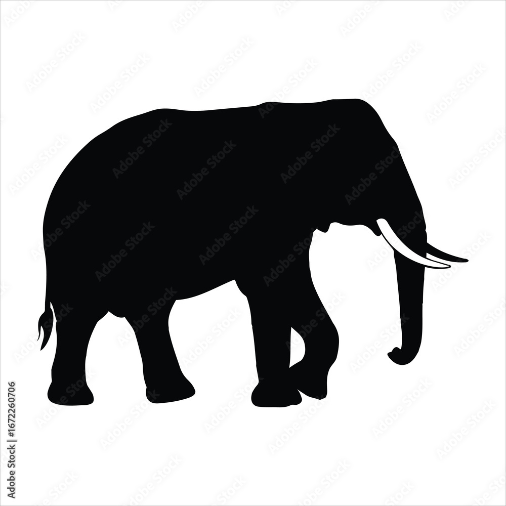 Fototapeta premium Majestic silhouette of a walking african elephant with ivory tusks captured in a bold black outline