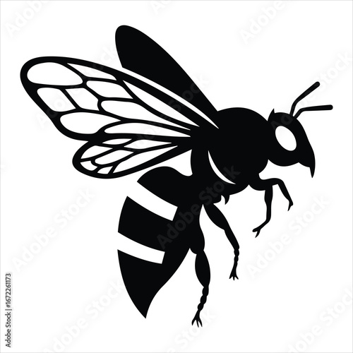 Silhouette of a detailed wasp insect with wings and stripes in striking black and white