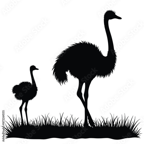 Adult and baby ostrich silhouettes in grassy field
