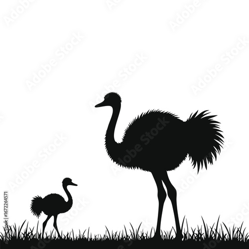 Adult and baby ostrich silhouettes in grass chick bird