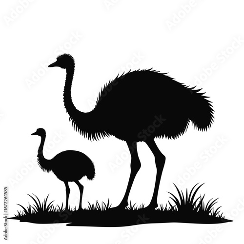 Adult and young emu silhouettes in grass ostrich bird