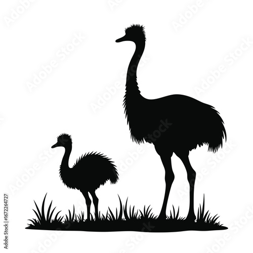 Adult and young emu silhouettes standing in grass bird