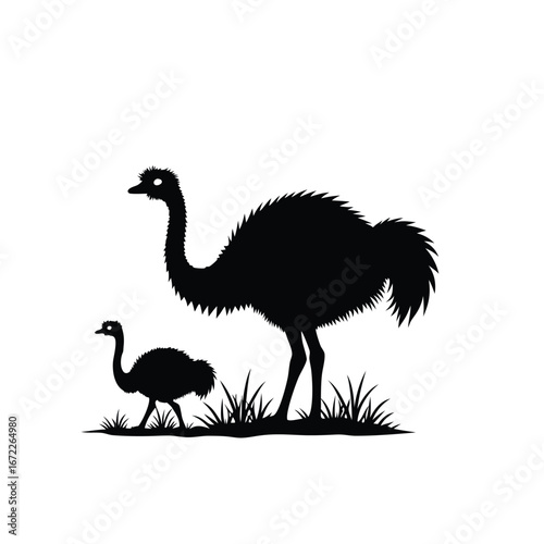 Black silhouette of adult and baby emu birds in grass
