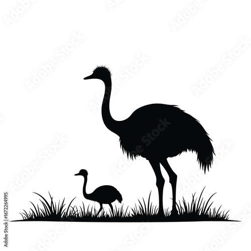 Black silhouette of adult and baby emus in grass ostrich