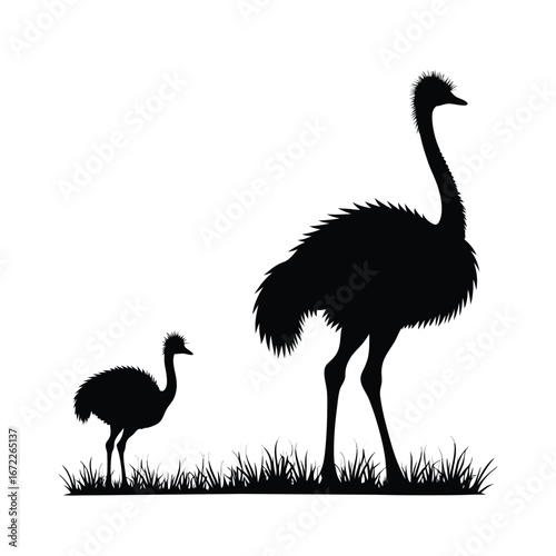 Black silhouette of adult and baby emus standing in grass