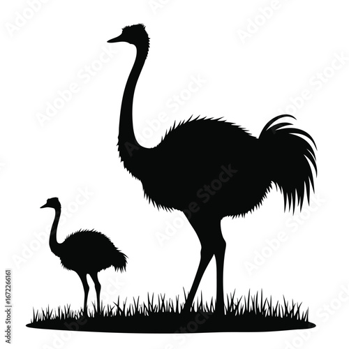 Black silhouette of adult and young ostrich in grass 2