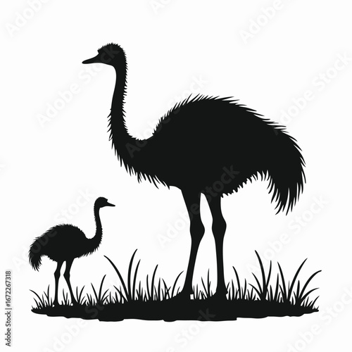 Black silhouette of an emu and chick in grass ostrich