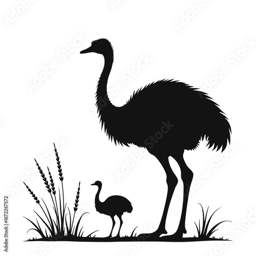 Black silhouette of an emu and chick in tall grass