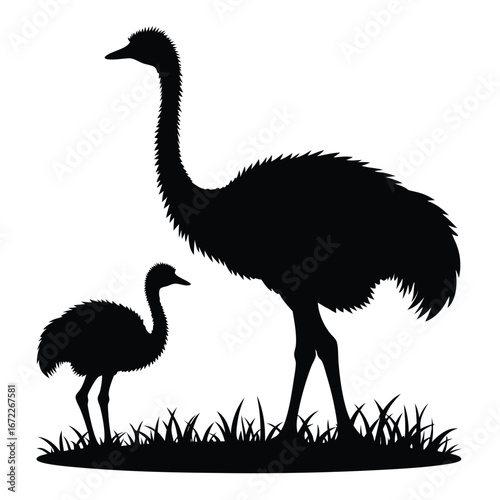 Black silhouette of an emu and chick standing in grass