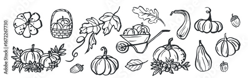 Line art autumn pumpkins collection
