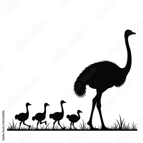 Black silhouette of an ostrich family walking in grass 