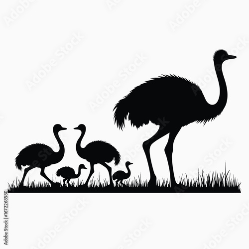 Black silhouette of an ostrich family walking on grass