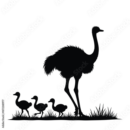 Black silhouette of an ostrich with three chicks in grass