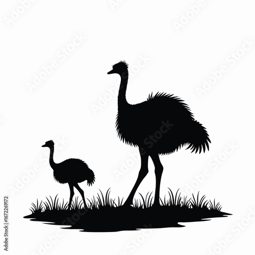 Black silhouette of emu and chick in grass ostrich