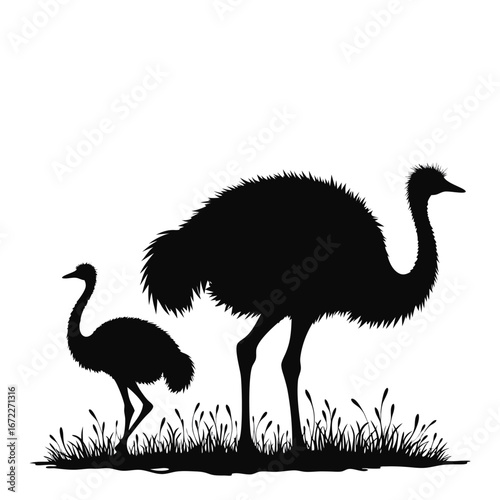 Ostrich and chick silhouette in grass bird animal