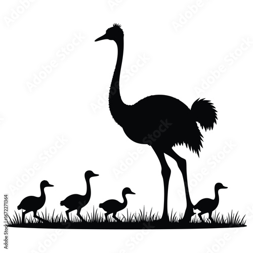 Ostrich and Chicks Silhouette Walking in Grass bird