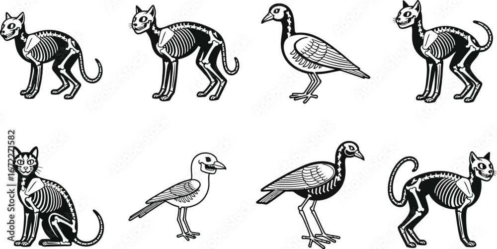 Obraz premium Cartoon skeletons of cats and birds on a white background design