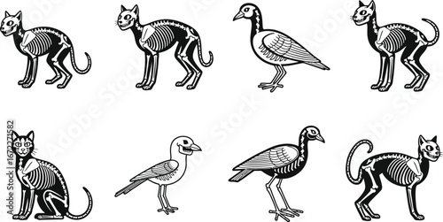Cartoon skeletons of cats and birds on a white background design