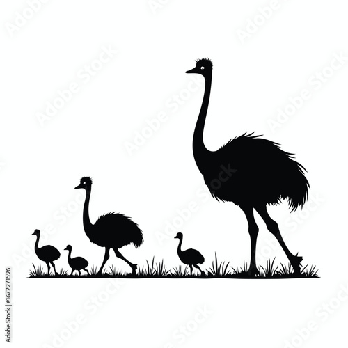 Ostrich family walking in grass silhouette chick bird
