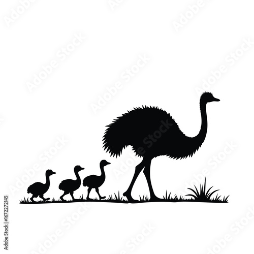 Ostrich mother and chicks walking in grass silhouette