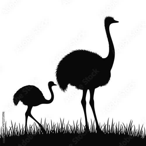 Silhouette of an ostrich and chick in grass bird animal