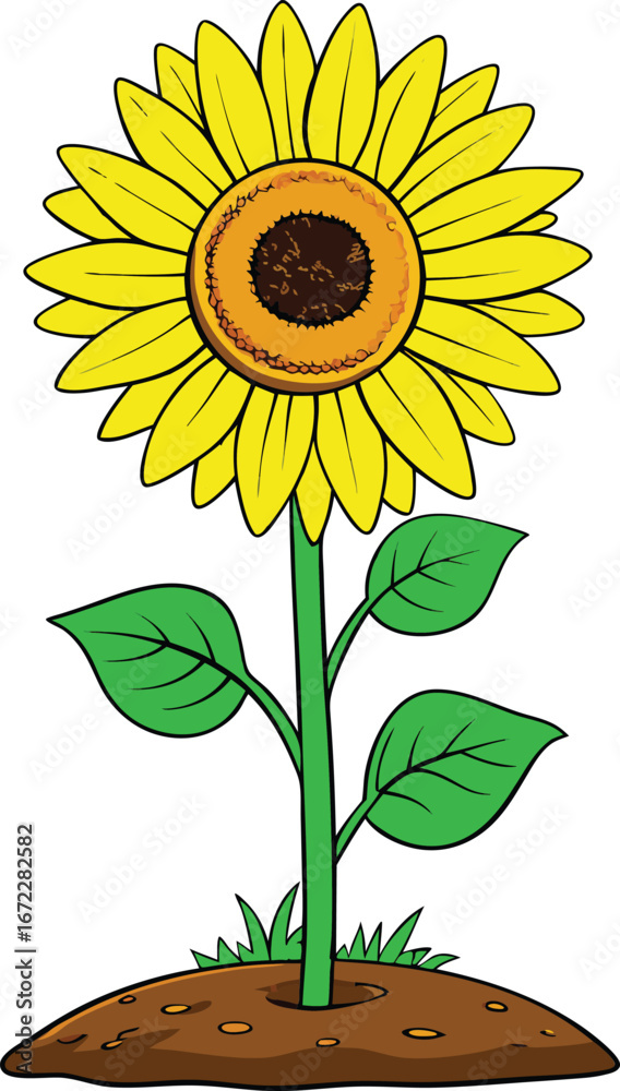 Fototapeta premium Vibrant sunflower in full bloom on a lush green stem