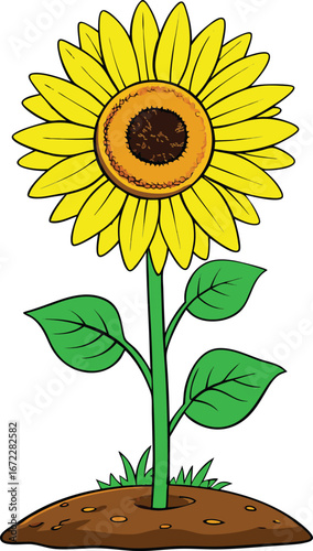 Vibrant sunflower in full bloom on a lush green stem