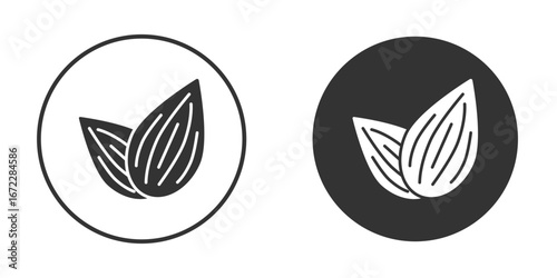 Almond icon pictogram. Vector outline illustration isolated on white background.