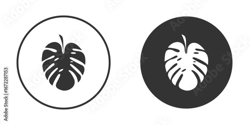 Monstera deliciosa plant leaf icon pictogram. Vector outline illustration isolated on white background.