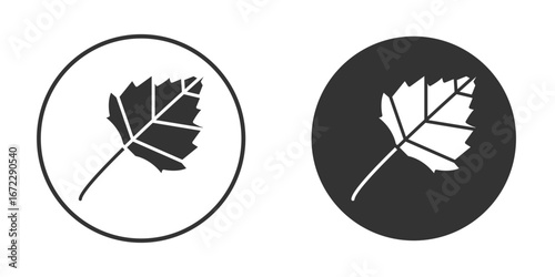 Birch leaf icon pictogram. Vector outline illustration isolated on white background.