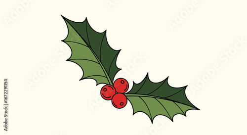 A festive sprig of holly with bright red berries and jagged green leaves