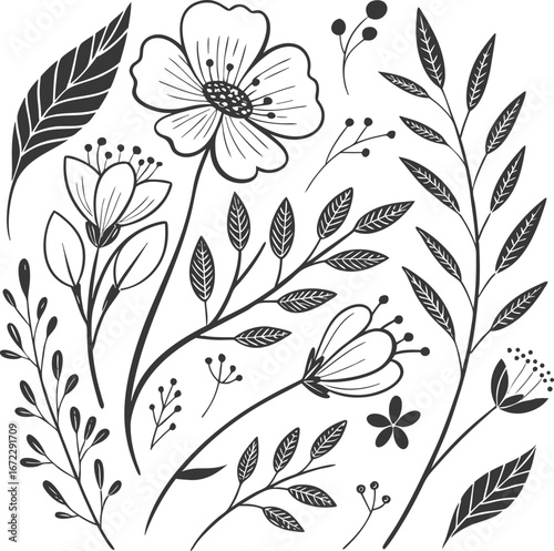 Hand drown floral with beautiful leaf and graphic ornaments set illustrations vector silhouette. seamless floral pattern with flowers.