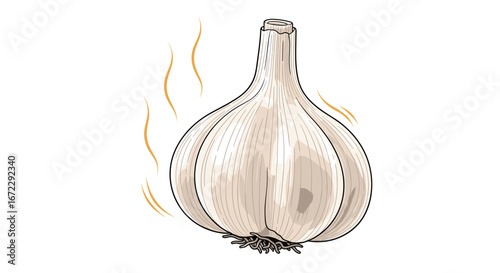 A single white garlic bulb with aromatic steam rising from its stem indicating its pungent flavor and culinary uses