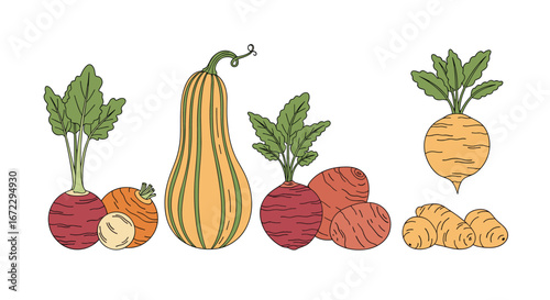 Harvest bounty featuring root vegetables and a butternut squash displayed together